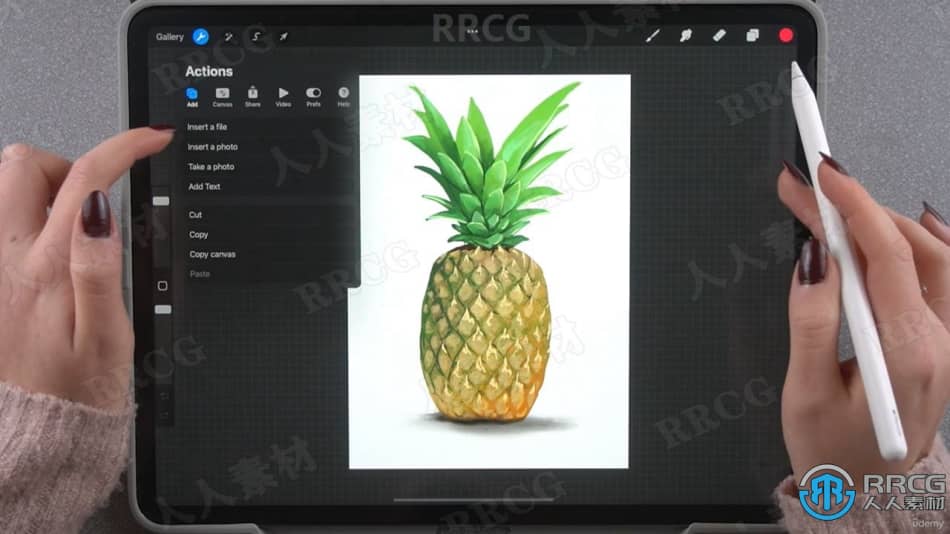 Procreate大师级写实效果数字绘画绘制工作流程视频教程 CG 第8张
