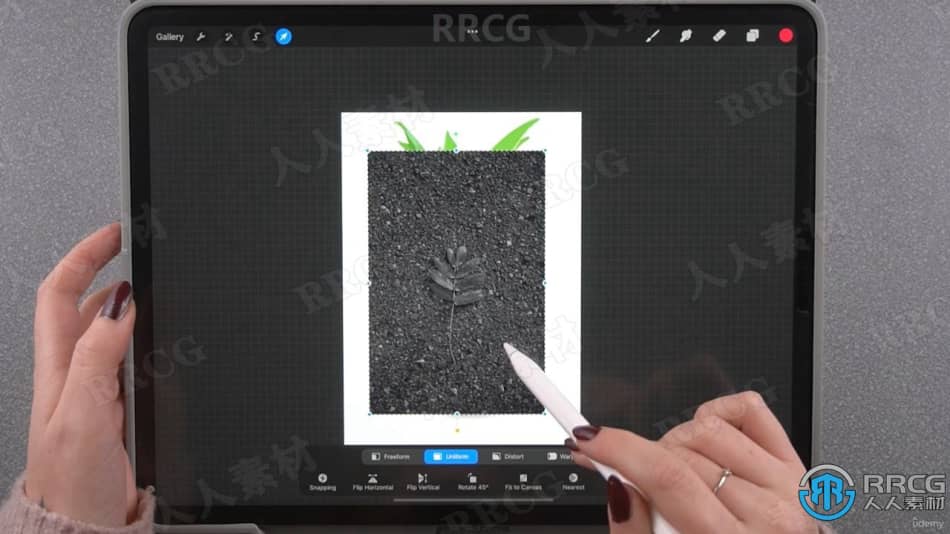 Procreate大师级写实效果数字绘画绘制工作流程视频教程 CG 第9张