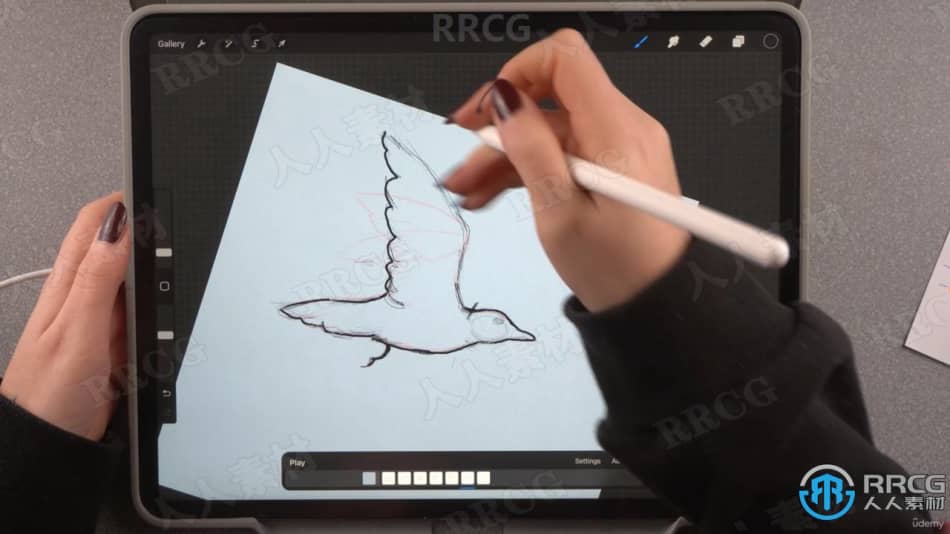 Procreate大师级写实效果数字绘画绘制工作流程视频教程 CG 第4张