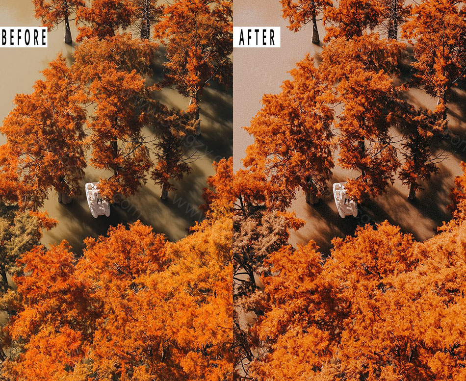 【Lightroom预设】浓郁秋季色彩胶片人像Autumn Photoshop Action & Lightrom Presets LR预设 第3张