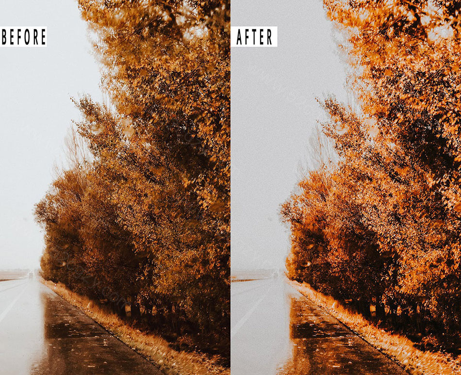 【Lightroom预设】浓郁秋季色彩胶片人像Autumn Photoshop Action & Lightrom Presets LR预设 第2张