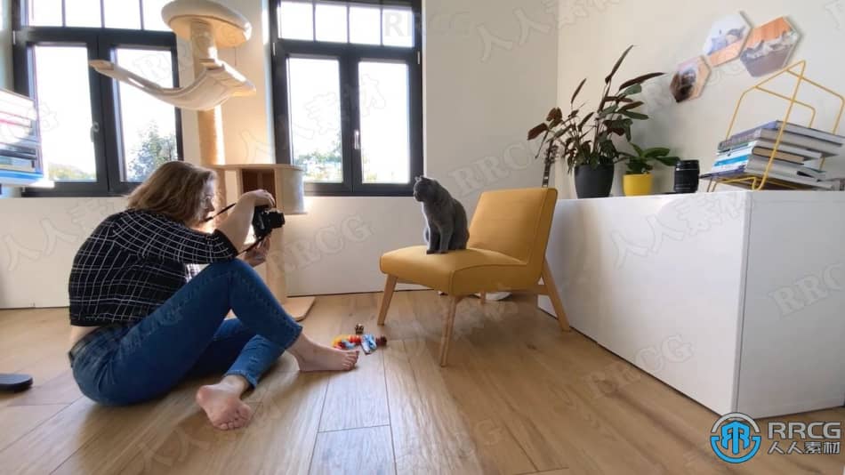 可爱宠物构图照明捕捉移动瞬间拍摄技巧工作流程视频教程 摄影 第4张
