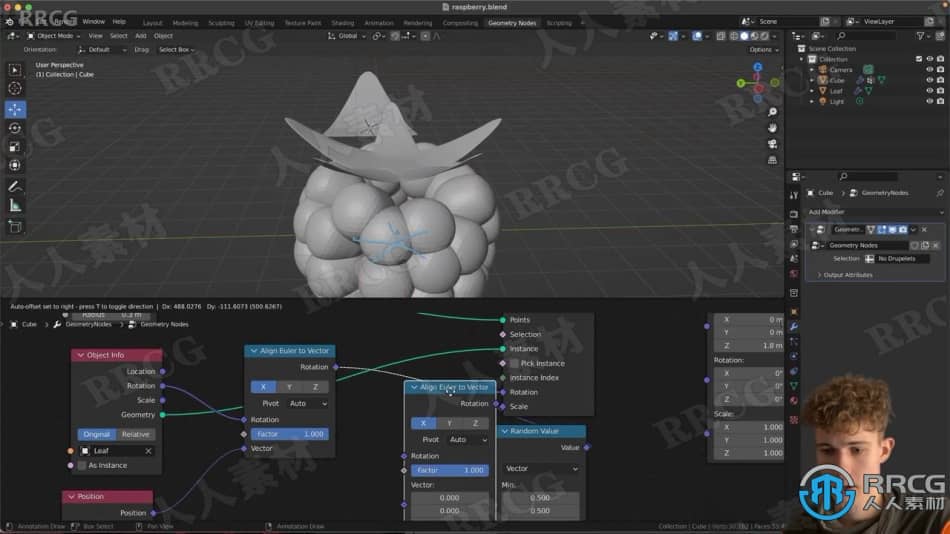 Blender几何节点树莓建模实例制作视频教程 3D 第4张