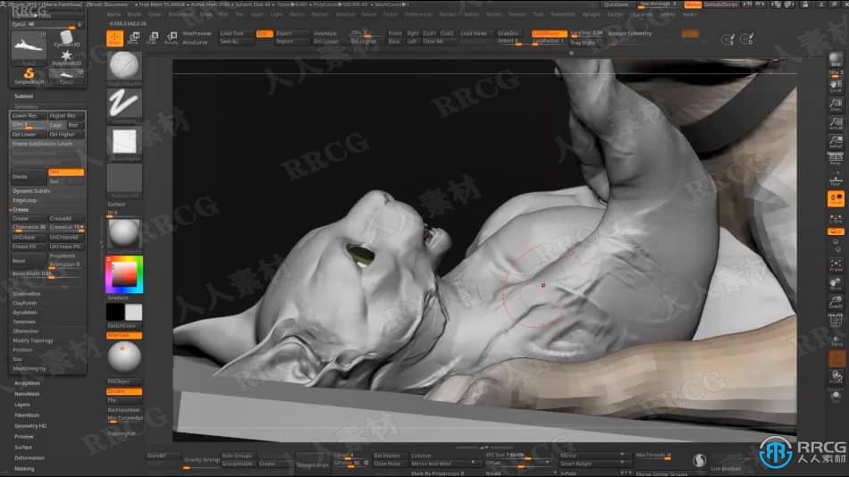 Zbrush逼真动物雕刻艺术设计实例训练视频教程 3D 第4张