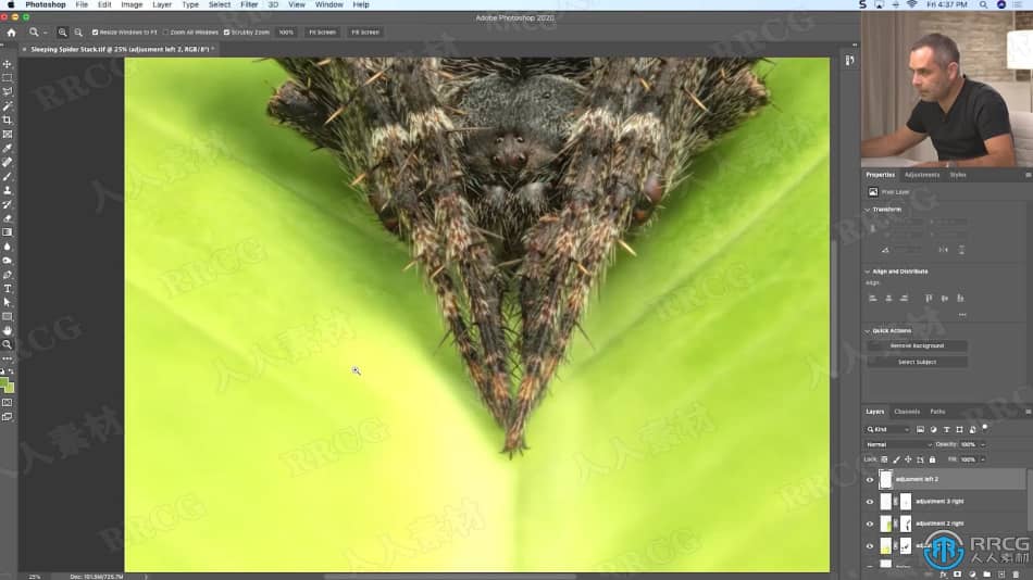 大自然昆虫动物摄影技巧集后期修饰工作流程视频教程 PS教程 第3张