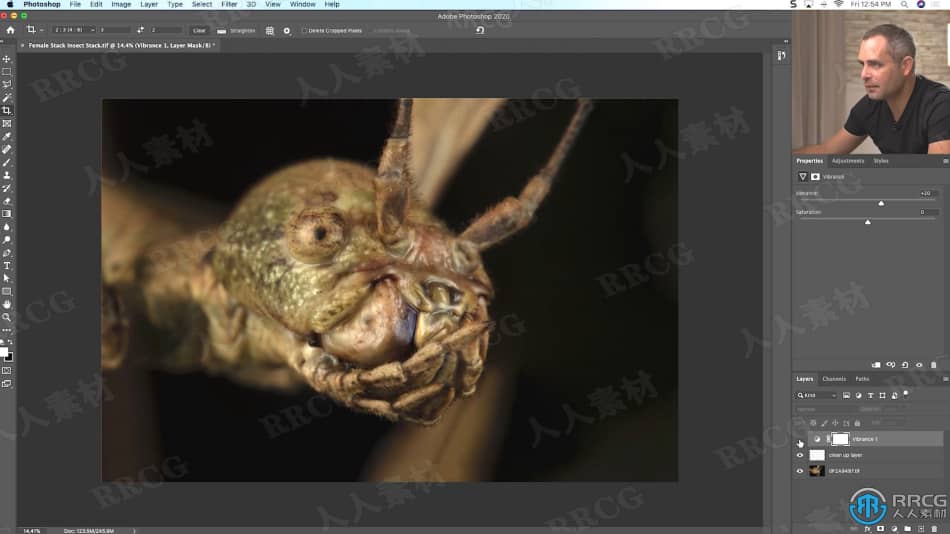 大自然昆虫动物摄影技巧集后期修饰工作流程视频教程 PS教程 第4张