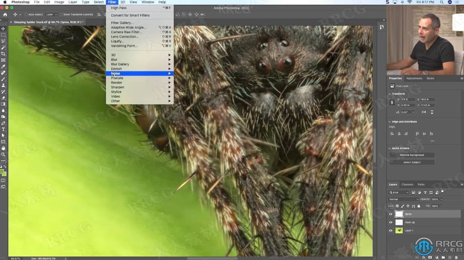 大自然昆虫动物摄影技巧集后期修饰工作流程视频教程 PS教程 第7张