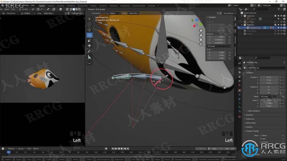 Blender海洋小鱼角色建模实例训练视频教程 3D 第10张