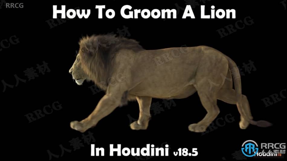 Houdini狮子毛发实例制作大师级视频教程 Houdini 第18张
