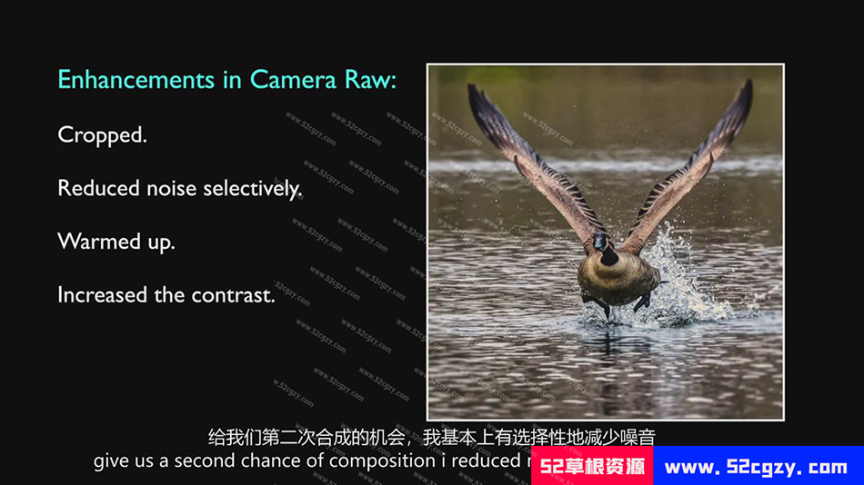 【中英字幕】摄影师Rick Sammon在任何地点拍摄鸟类摄影教程 摄影 第5张