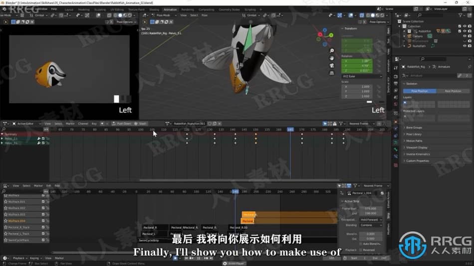 【中文字幕】Blender海洋小鱼角色动画制作要点训练视频教程 3D 第9张
