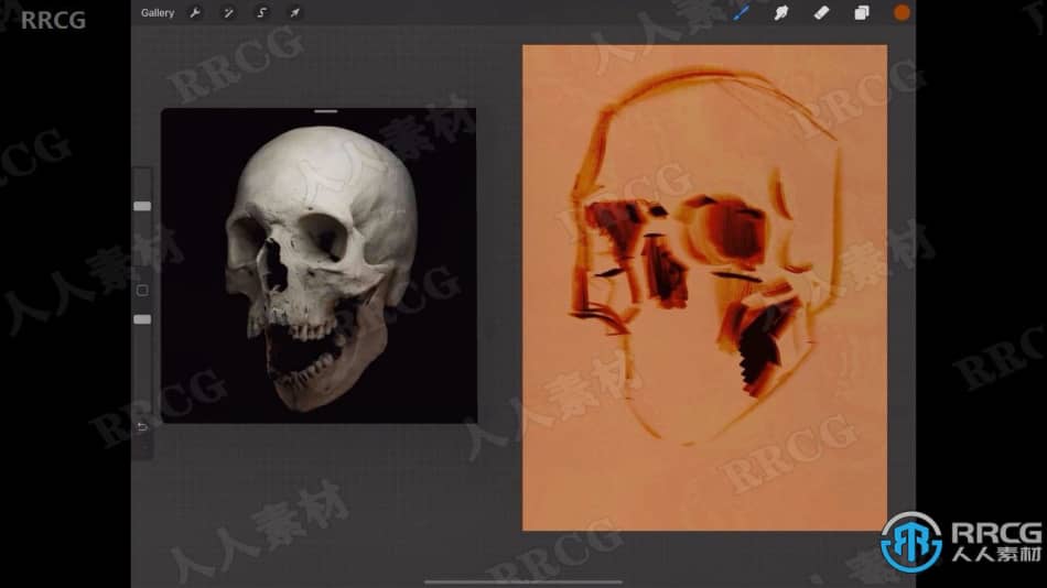 人类骷髅数字绘画实例训练视频教程 PS教程 第4张