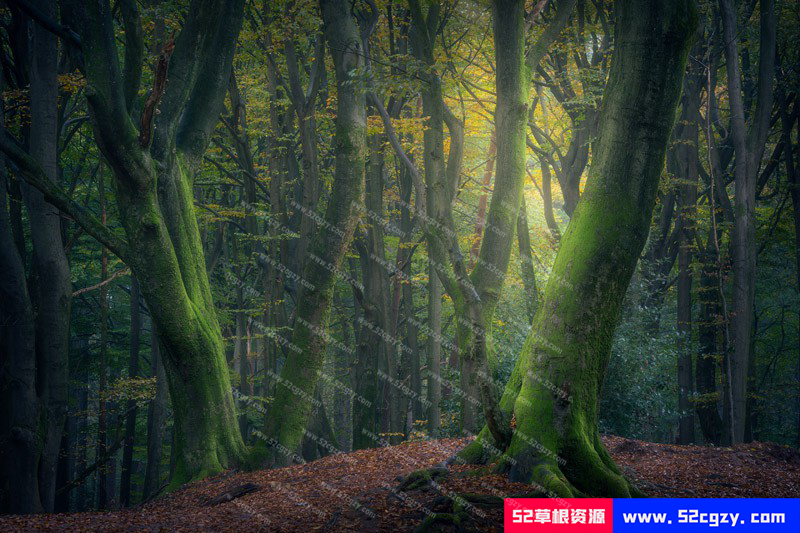 【中英字幕】风光摄影师 Daniel Laan '重返黑暗森林'风光摄影后期全流程 摄影 第7张