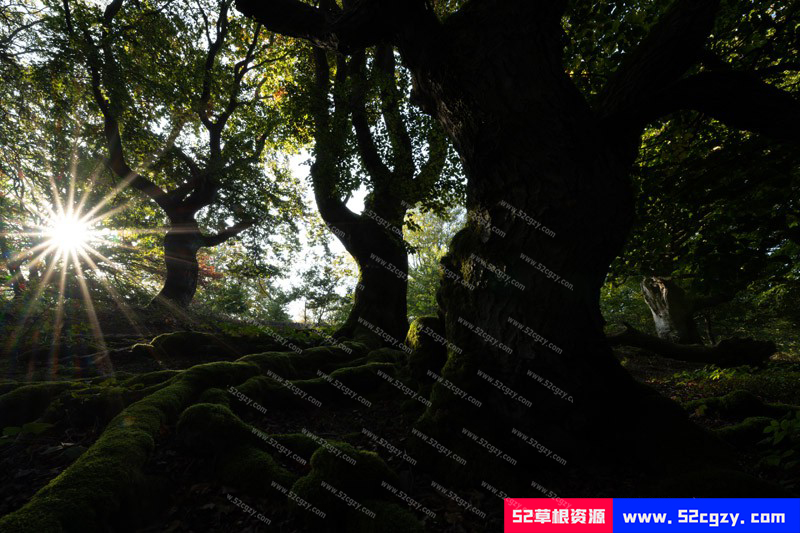 【中英字幕】风光摄影师 Daniel Laan '重返黑暗森林'风光摄影后期全流程 摄影 第5张