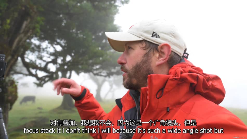 【中英字幕】Nigel Danson掌握风景摄影艺术II-远景.林地和海景摄影指南 摄影 第10张