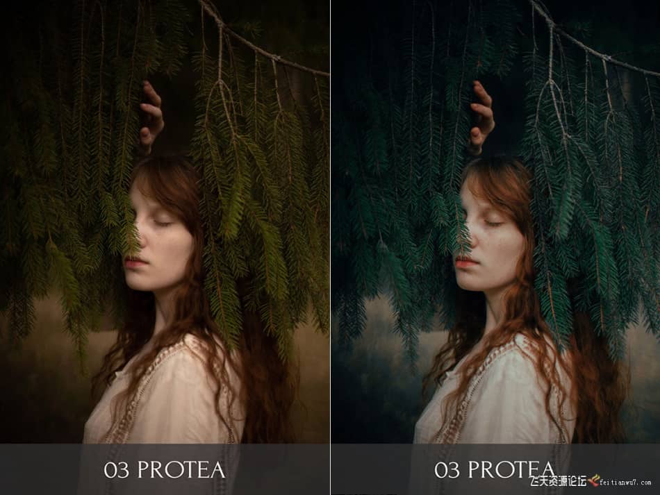 俄罗斯摄影师Polina Washington人像LR预设Botanical Garden Presets LR预设 第6张