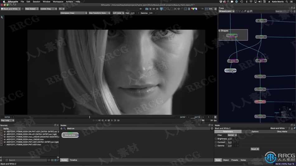 Silhouette镜头处理后期制作大师级视频教程 CG 第5张
