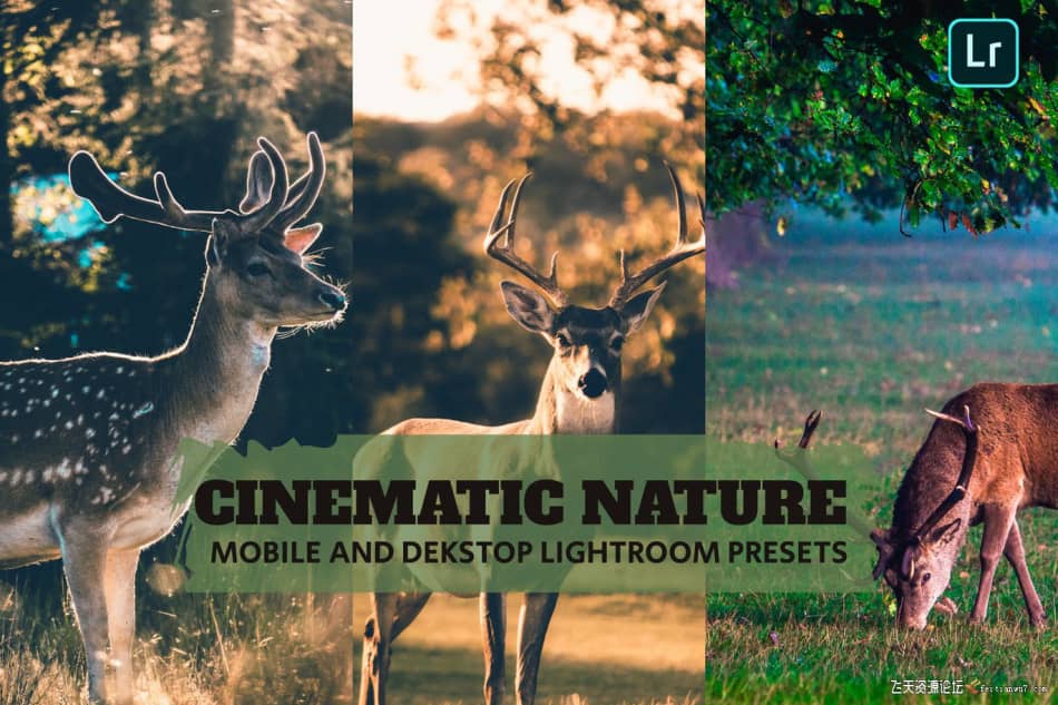 【Lightroom预设】高品质电影自然风光Cinematic Nature Lightroom Presets Dekstop Mobile LR预设 第1张