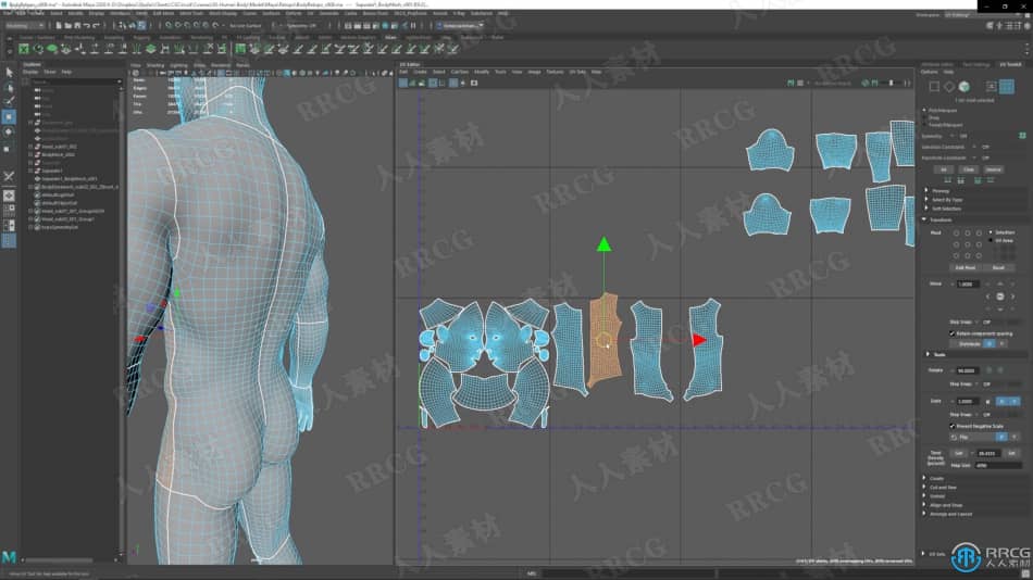 Zbrush逼真3D人体角色制作大师级视频教程 3D 第11张