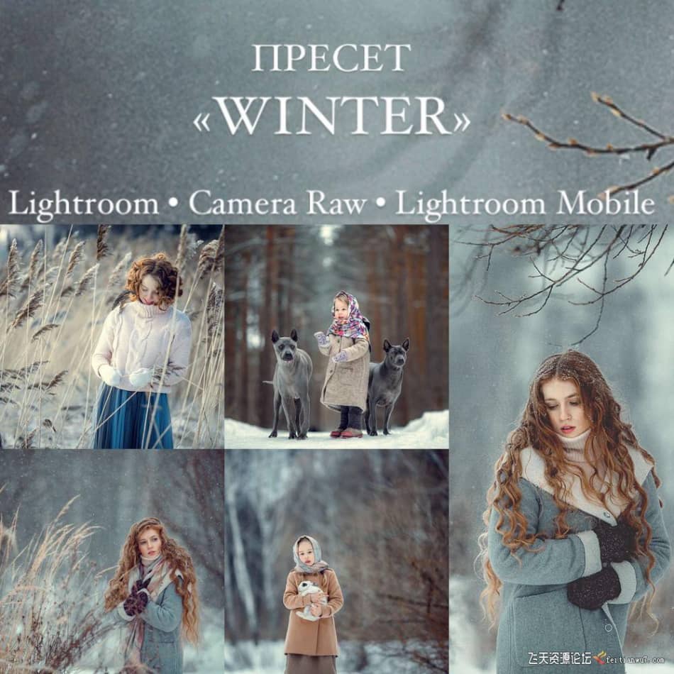 【Lightroom预设】俄罗斯摄影师Anna Melnikova 唯美冬季人像Winter presets LR预设 第1张