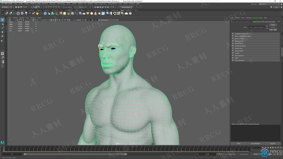 Zbrush逼真3D人体角色制作大师级视频教程 3D 第24张