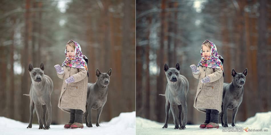 【Lightroom预设】俄罗斯摄影师Anna Melnikova 唯美冬季人像Winter presets LR预设 第4张