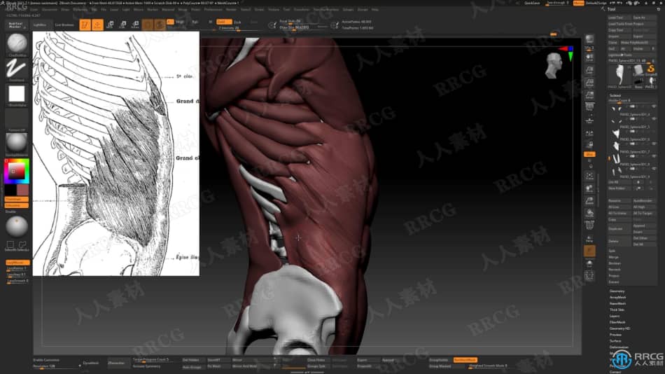 Zbrush逼真3D人体角色制作大师级视频教程 3D 第6张