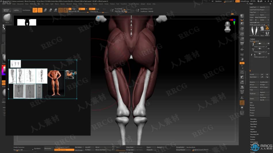 Zbrush逼真3D人体角色制作大师级视频教程 3D 第14张