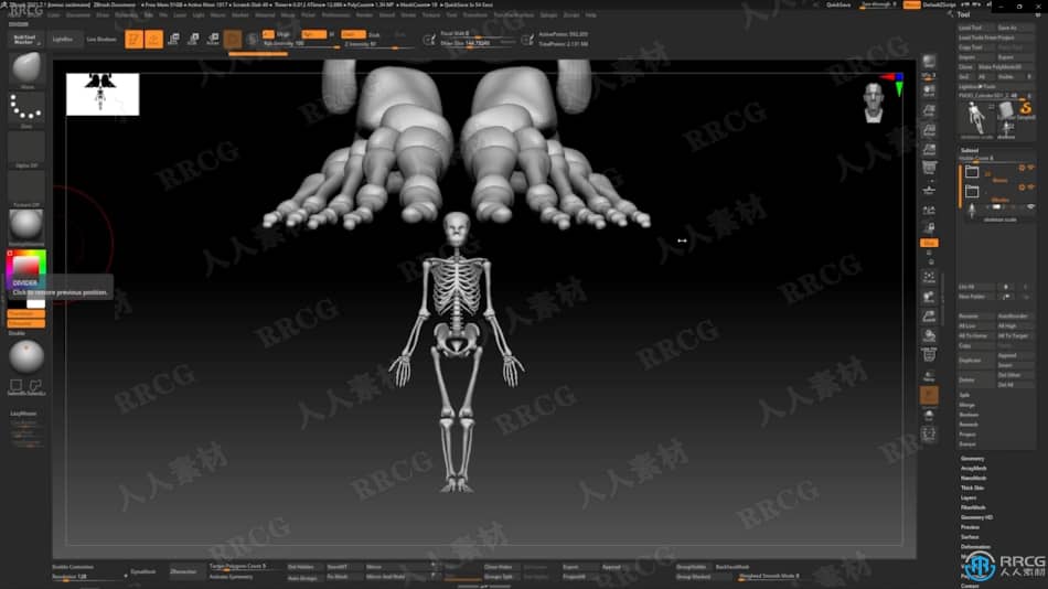 Zbrush逼真3D人体角色制作大师级视频教程 3D 第4张