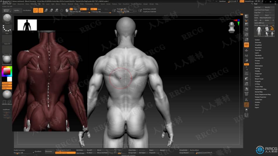 Zbrush逼真3D人体角色制作大师级视频教程 3D 第7张