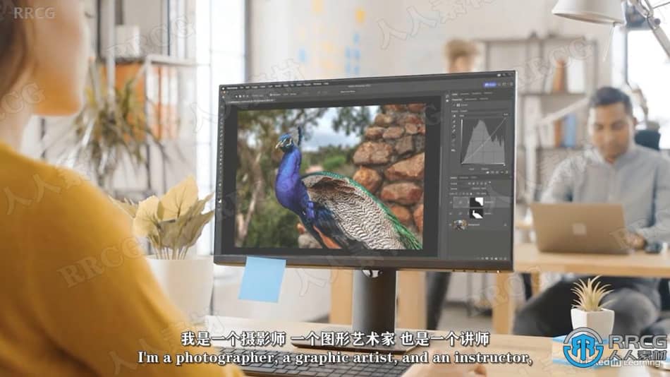 【中文字幕】Photoshop与Lightroom遮罩核心技术视频教程 PS教程 第4张