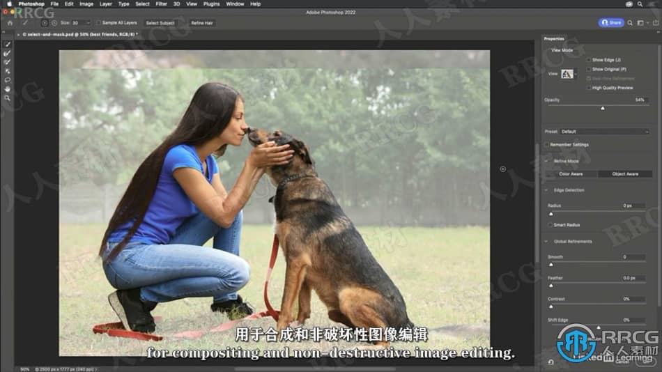 【中文字幕】Photoshop与Lightroom遮罩核心技术视频教程 PS教程 第8张
