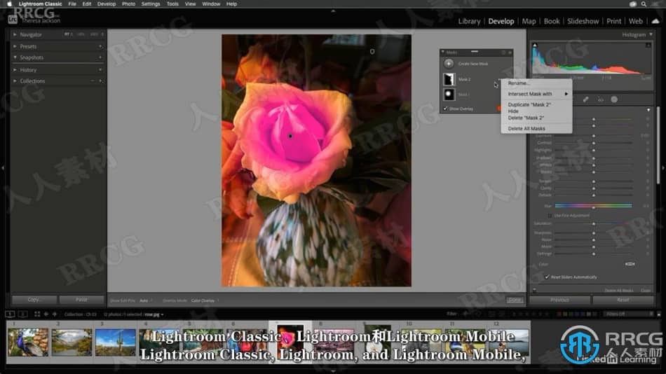 【中文字幕】Photoshop与Lightroom遮罩核心技术视频教程 PS教程 第5张