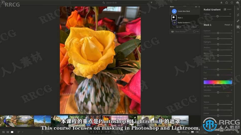 【中文字幕】Photoshop与Lightroom遮罩核心技术视频教程 PS教程 第3张