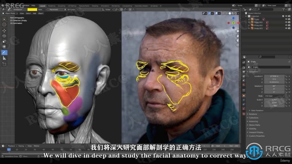 【中文字幕】Blender逼真肖像面部骨骼肌肉解剖学制作视频教程 3D 第5张