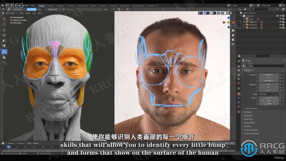 【中文字幕】Blender逼真肖像面部骨骼肌肉解剖学制作视频教程 3D 第6张