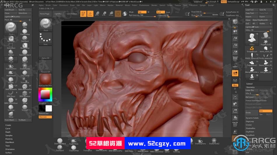 ZBrush半透明生物皮肤雕刻制作大师级视频教程 ZBrush 第6张