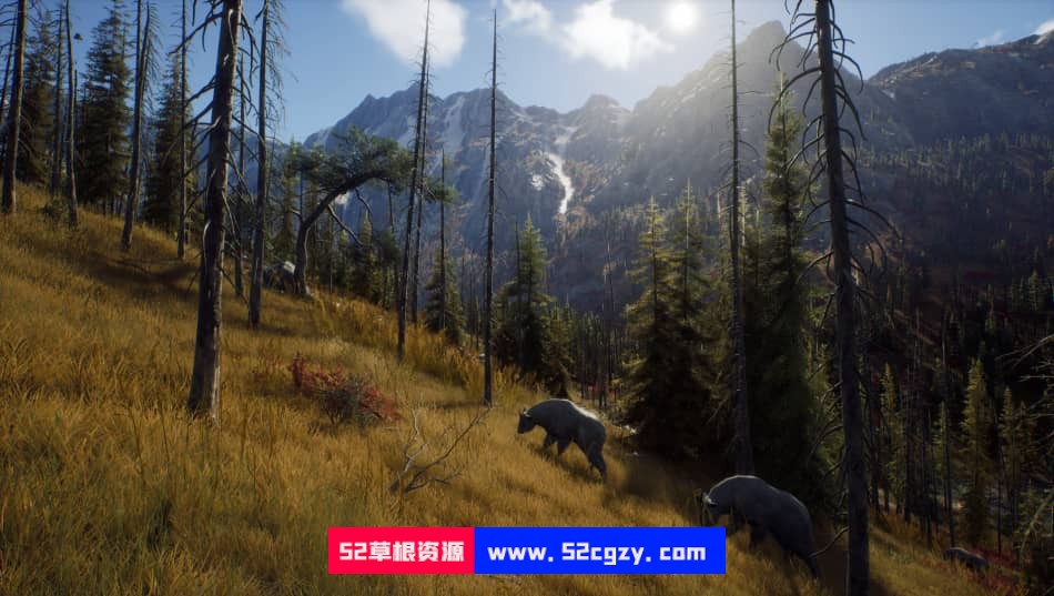 《猎人之路》免安装绿色中文版[11.1GB] 单机游戏 第1张