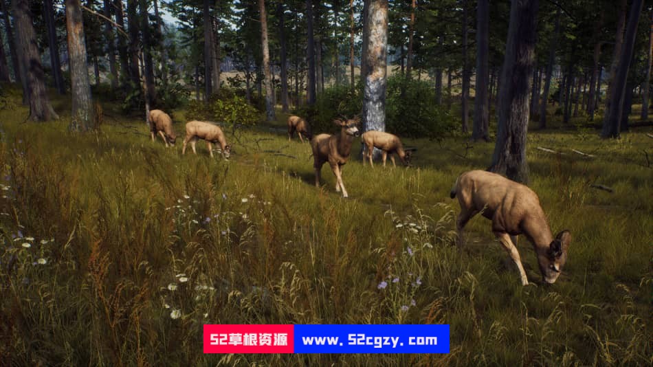 《猎人之路》免安装绿色中文版[11.1GB] 单机游戏 第4张