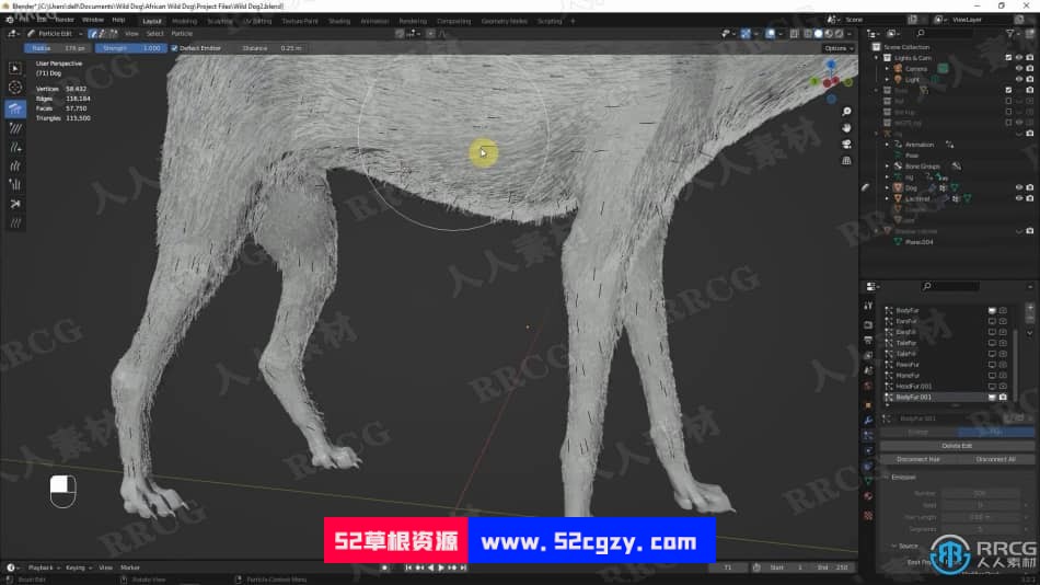 Blender非洲野狗逼真动物完整制作流程视频课程 3D 第17张