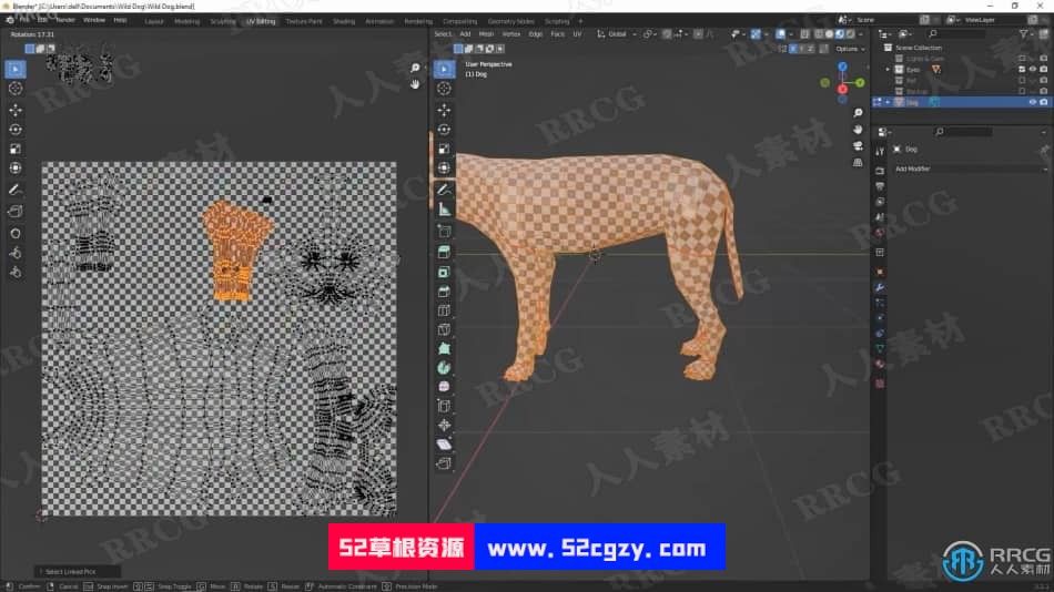 Blender非洲野狗逼真动物完整制作流程视频课程 3D 第7张