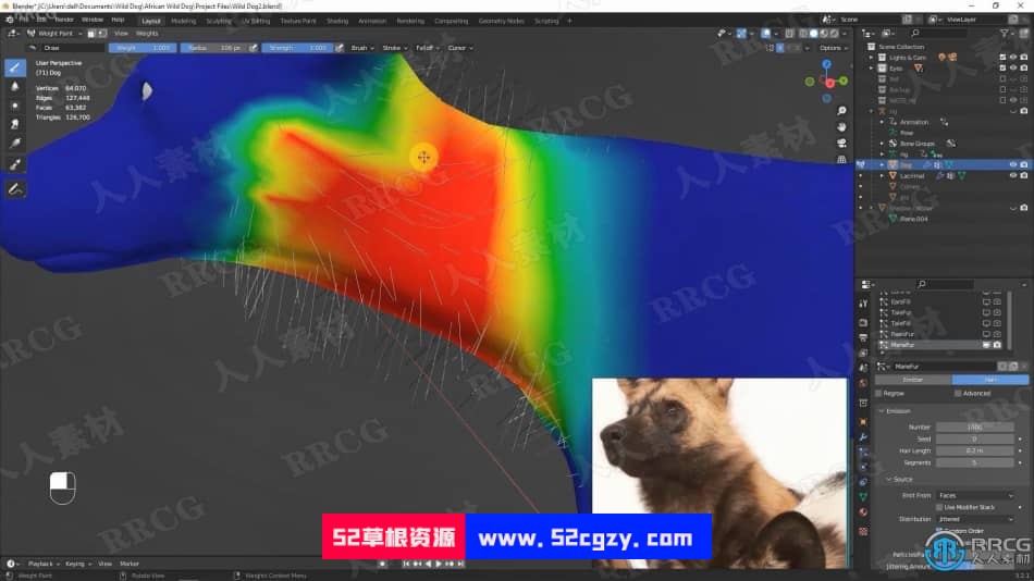Blender非洲野狗逼真动物完整制作流程视频课程 3D 第16张