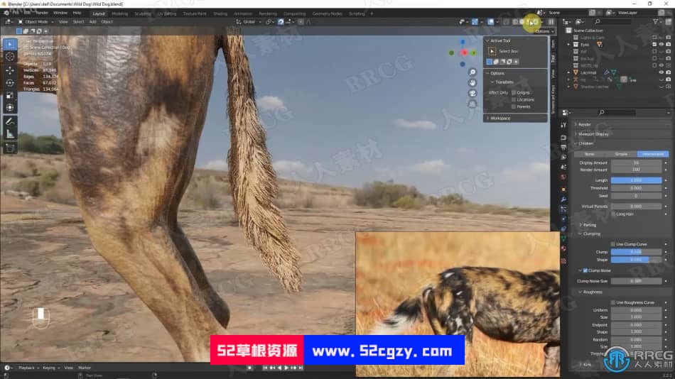 Blender非洲野狗逼真动物完整制作流程视频课程 3D 第15张
