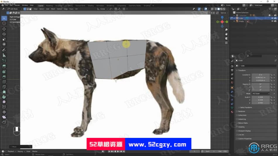 Blender非洲野狗逼真动物完整制作流程视频课程 3D 第3张