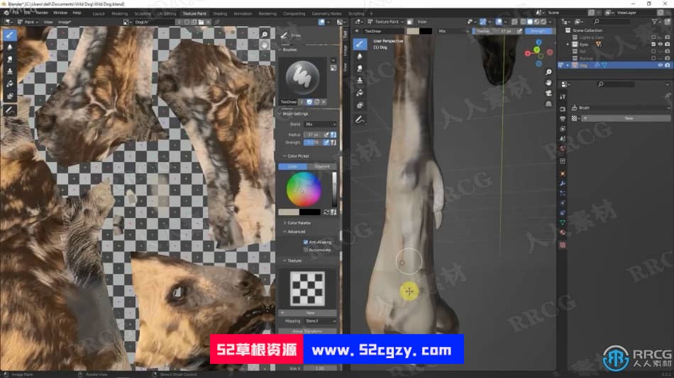 Blender非洲野狗逼真动物完整制作流程视频课程 3D 第9张