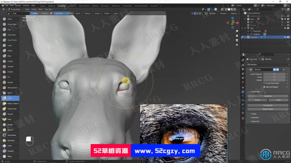 Blender非洲野狗逼真动物完整制作流程视频课程 3D 第10张