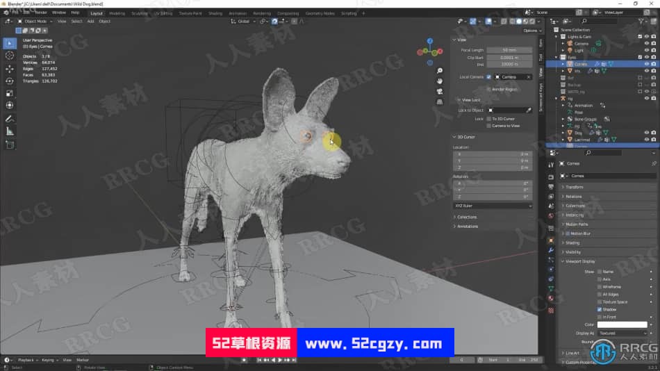 Blender非洲野狗逼真动物完整制作流程视频课程 3D 第2张