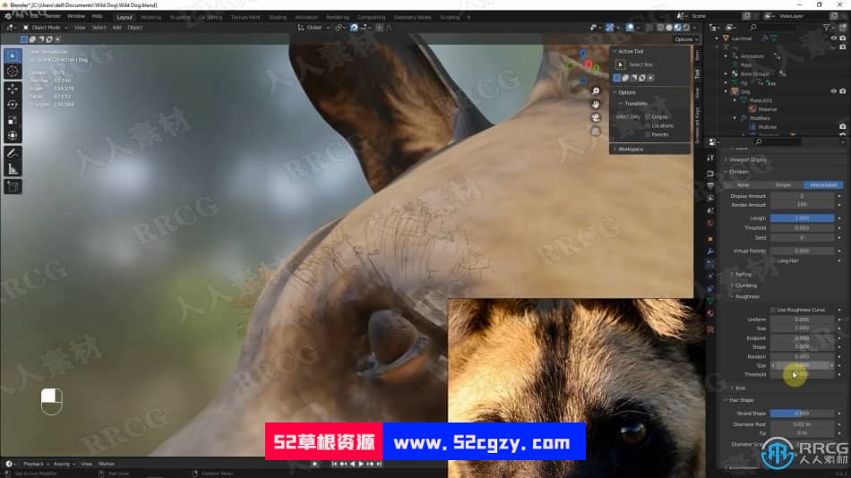 Blender非洲野狗逼真动物完整制作流程视频课程 3D 第13张