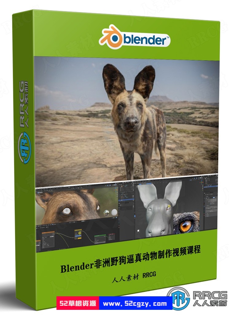 Blender非洲野狗逼真动物完整制作流程视频课程 3D 第1张