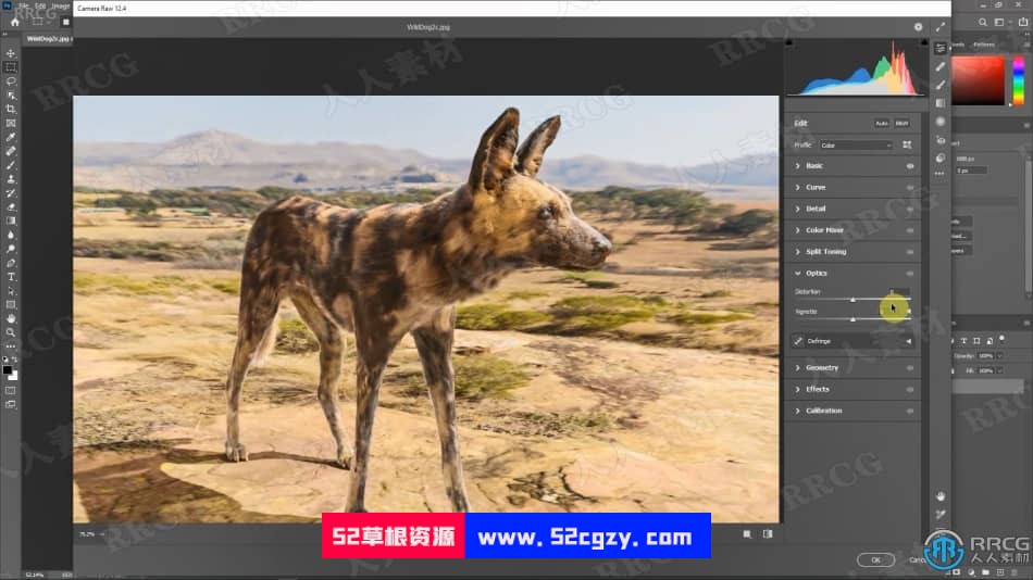 Blender非洲野狗逼真动物完整制作流程视频课程 3D 第19张